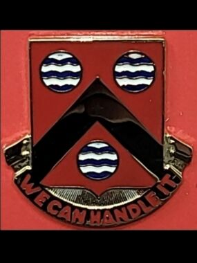 U.S. ARMY 498th SUPPORT BATTALION PIN "WE CAN HANDLE IT"